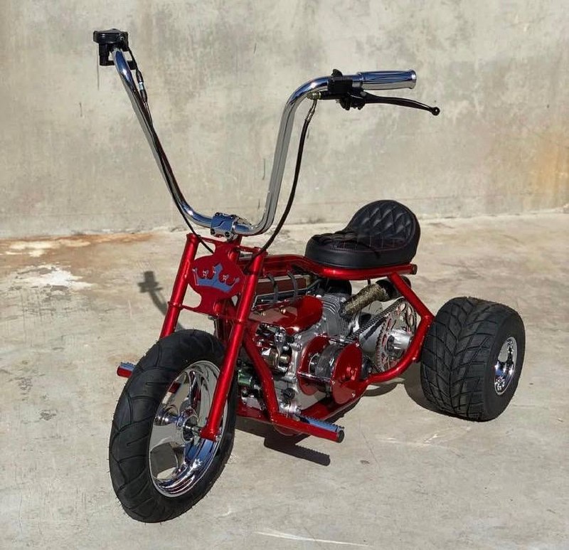 Gas trike scooter adult rider