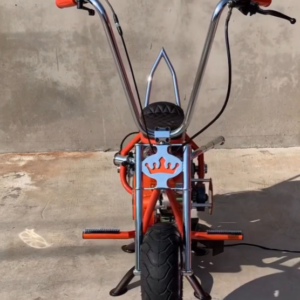 THE RED MINI BIKE 2025 edition
